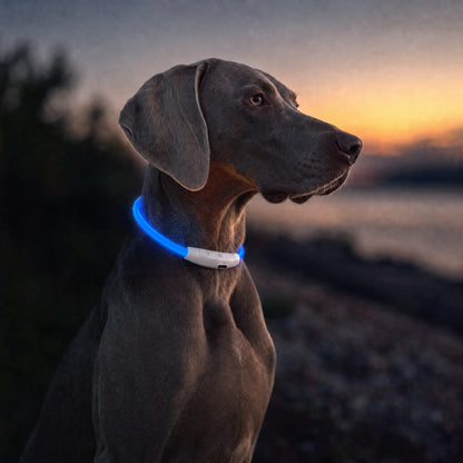 BrightBuddy – Leuchtet. Schützt. Beruhigt.