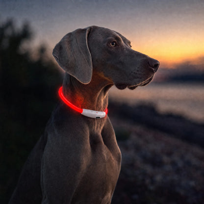 BrightBuddy – Leuchtet. Schützt. Beruhigt.