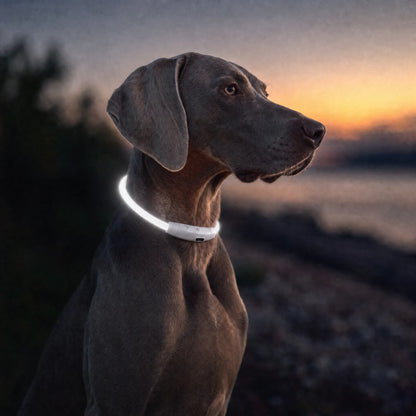 BrightBuddy – Leuchtet. Schützt. Beruhigt.